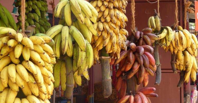 Зеленые vs созревшие: когда надо есть бананы на самом