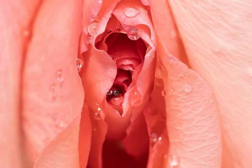 Как узнать, был ли у женщины оргазм: 7 главных признаков признаки женского оргазма