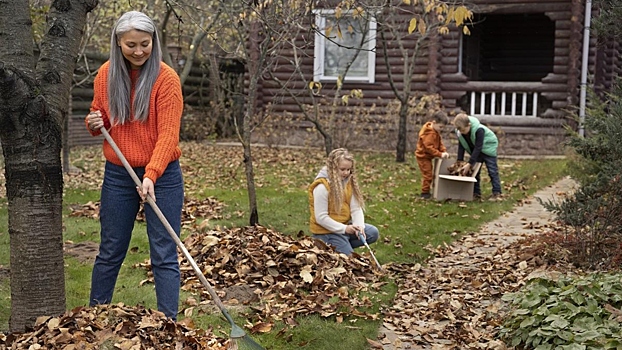 Зачем белить деревья осенью и как сделать это правильно