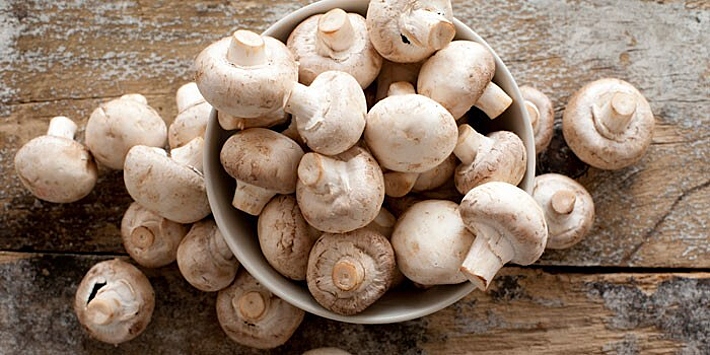 На сегодняшний день учёным известно более 300 разновидностей съедобных грибов.