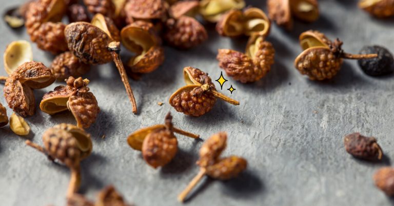 Эффект «тинглинг» сычуаньского перца: как добавить пикантности блюдам