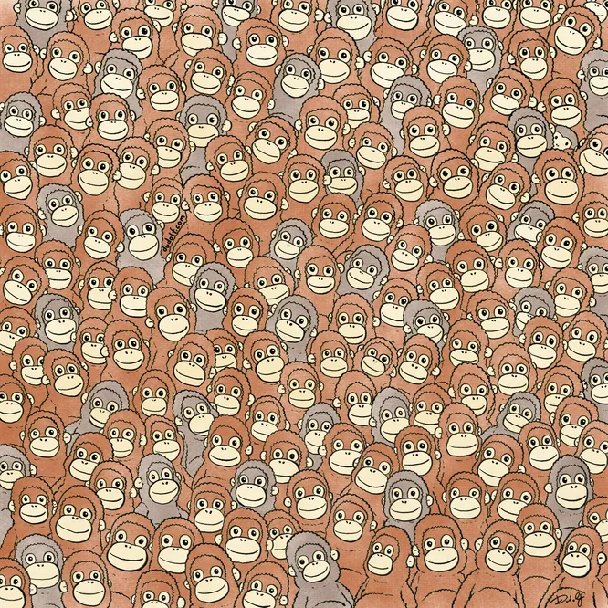 Тест: найди плюшевую обезьянку среди живых орангутангов — это удается только 7% людей!