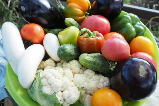 зубы и диеты