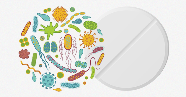 Война бактерий: стоит ли принимать пробиотики, если пьешь антибиотики?