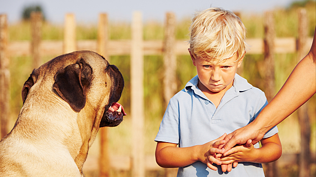 Что делать, если ребенок не любит домашнего питомца