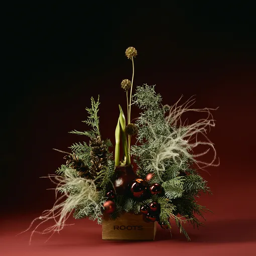 3, 2, 1 – проверяем готовность к Новому году в фэшн-дайджесте