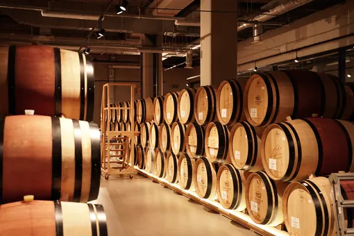 Пора на юг: почему винодельни стали новым туристическим трендом в России