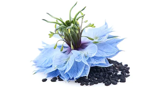 Секрет восточной красоты: как масло черного тмина омолодит твою кожу на 5+ лет