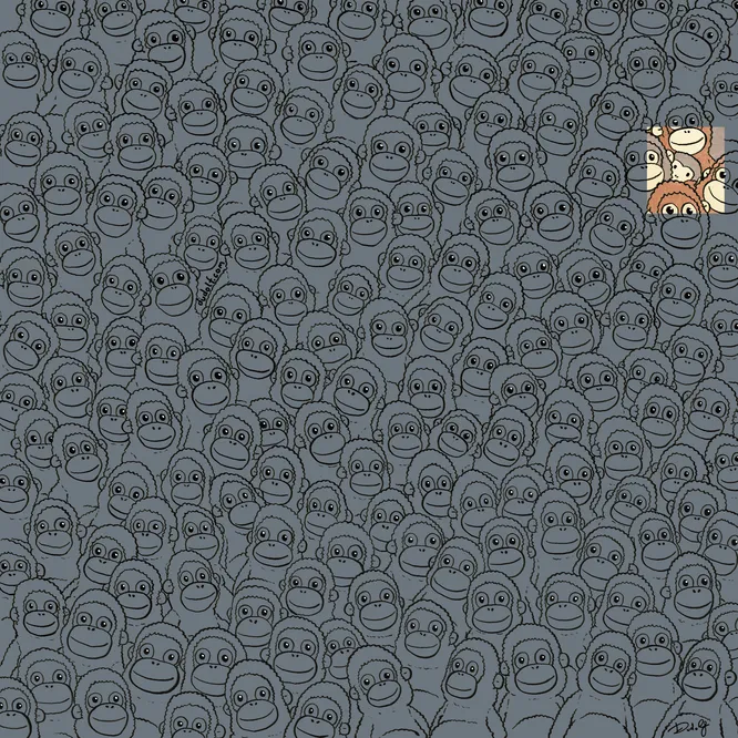 Тест: найди плюшевую обезьянку среди живых орангутангов — это удается только 7% людей!