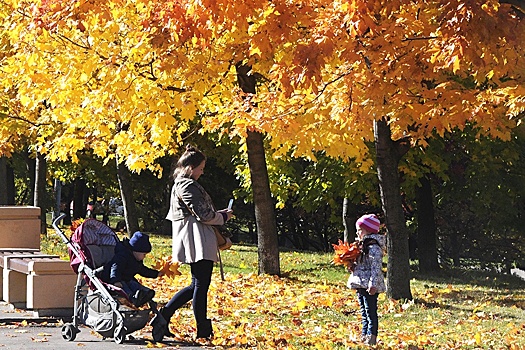 Чем увлечь ребенка на прогулке