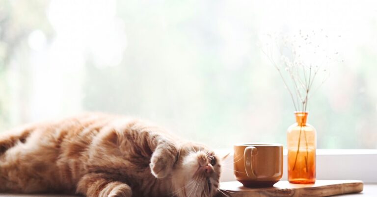 Телефон-экстремал, новый детский голосовой помощник, бьюти-гаджеты для волос: дайджест новостей техники