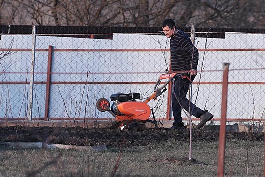 Агроном предупредил новосибирских дачников об опасных ошибках в октябре