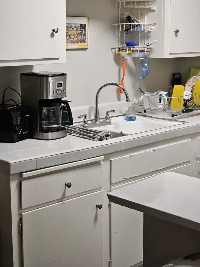 Тест на внимательность: сколько котов на фото ты сможешь найти?