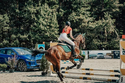 Без права на ошибку: как начать заниматься конным спортом и не пожалеть об этом