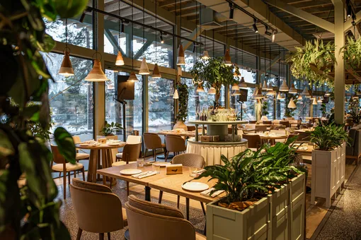 Весна на Алтае: где жить, что есть и чем заняться