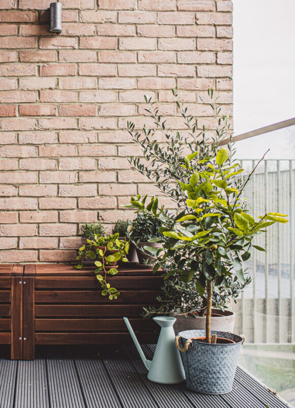 Как расставить растения на балконе, чтобы он выглядел, словно сад