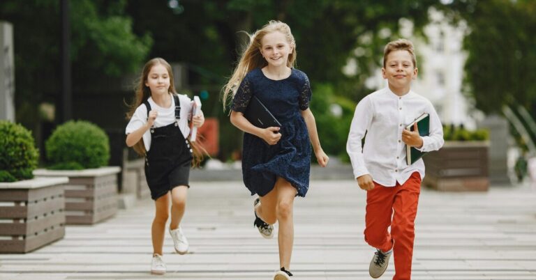 Каникулы в 2025-2026 учебном году для школьников: сроки по четвертям, триместрам и модулям