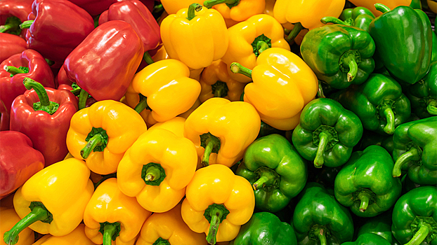 Какой болгарский перец полезнее — красный, желтый или зеленый