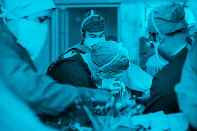 Первую в мире операцию по пересадке почки провели в СССР: как это было