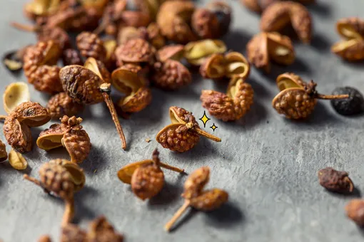 Что такое сычуаньский перец и почему он должен быть на каждой кухне