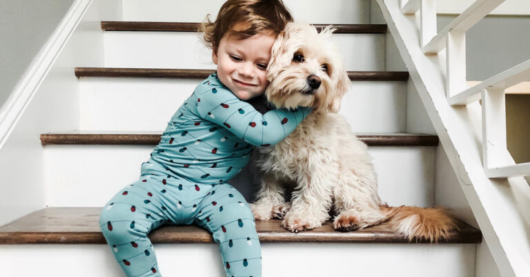 Топ-20 лучших пород собак для семей с детьми