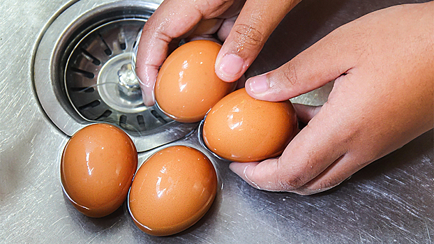 Можно ли мыть яйца перед хранением или нет