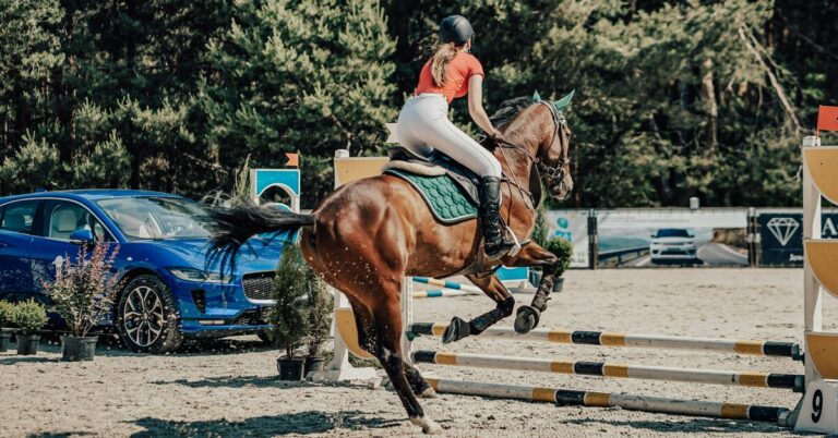 Без права на ошибку: как начать заниматься конным спортом и не пожалеть об этом