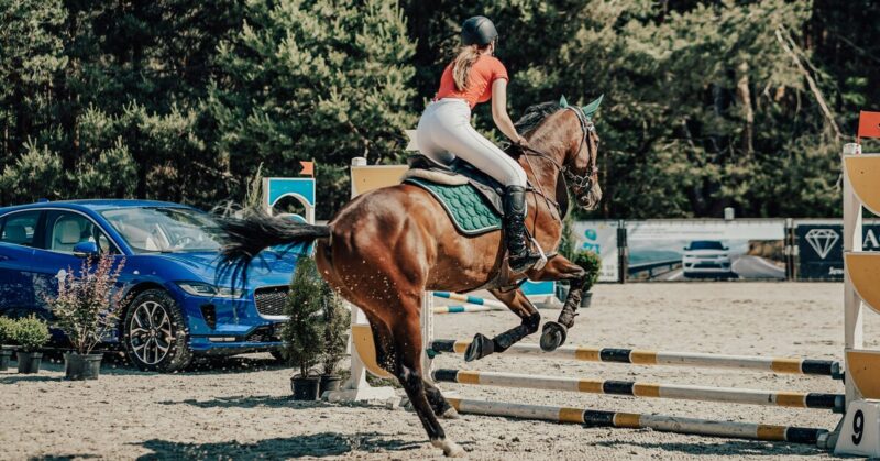 Без права на ошибку: как начать заниматься конным спортом и не пожалеть об этом