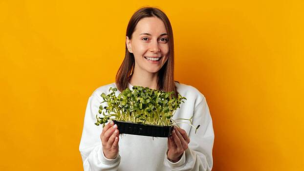 Как создать целебный мини-огород прямо на подоконнике