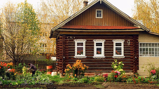 Перечислены растения, которые вытесняют сорняки