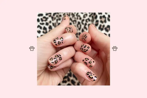 Ногти леопарда: самый простой способ сделать этот трендовый маникюр дома