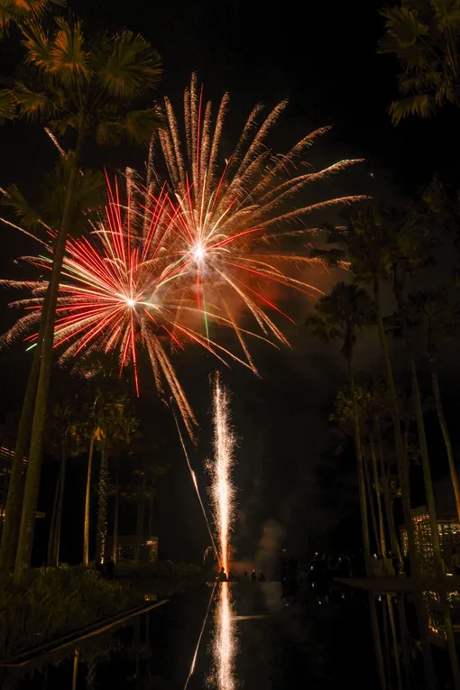 Новогодняя роскошь или где встретить Новый год: на море, у океана или в московской классике