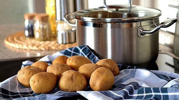 Когда и как в России появились картофель, огурцы и капуста