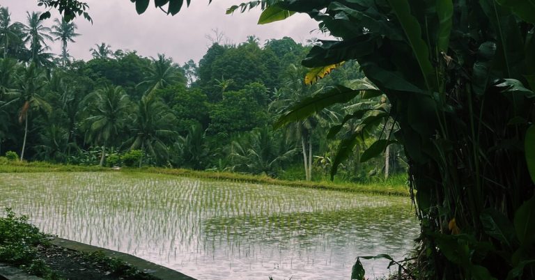 На здоровье! 5 мест на Бали, которые стоит посетить
