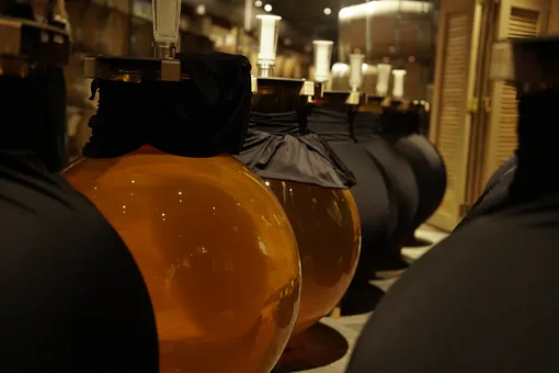 Пора на юг: почему винодельни стали новым туристическим трендом в России