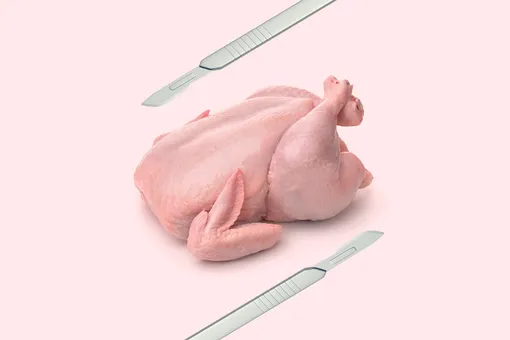Куринопластика: зачем студенты скупают тушки цыплят Куринопластика: зачем студенты-медики скупают тушки цыплят