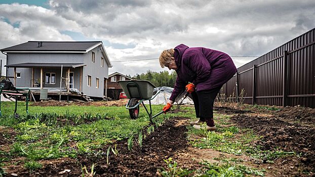 Перечислены продукты, которые не способны пережить зимовку на даче