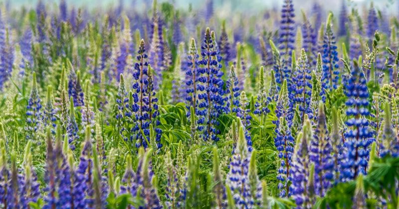 В отпуск на майские и не только: дайджест новостей для путешественников