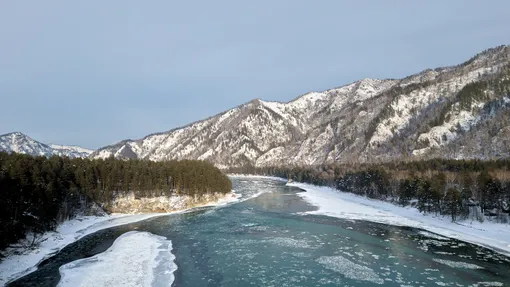 Весна на Алтае: где жить, что есть и чем заняться