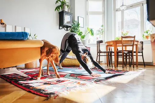 Домашние упражнения для зимнего детокса: перезапускаем работу тела