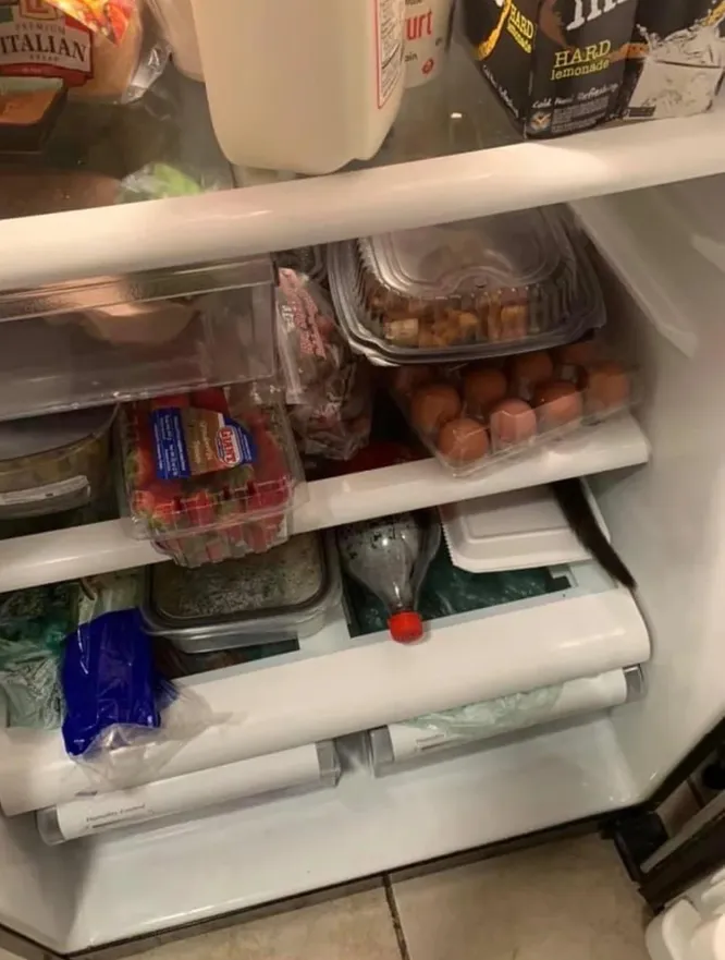 Тест на внимательность: сколько котов на фото ты сможешь найти?