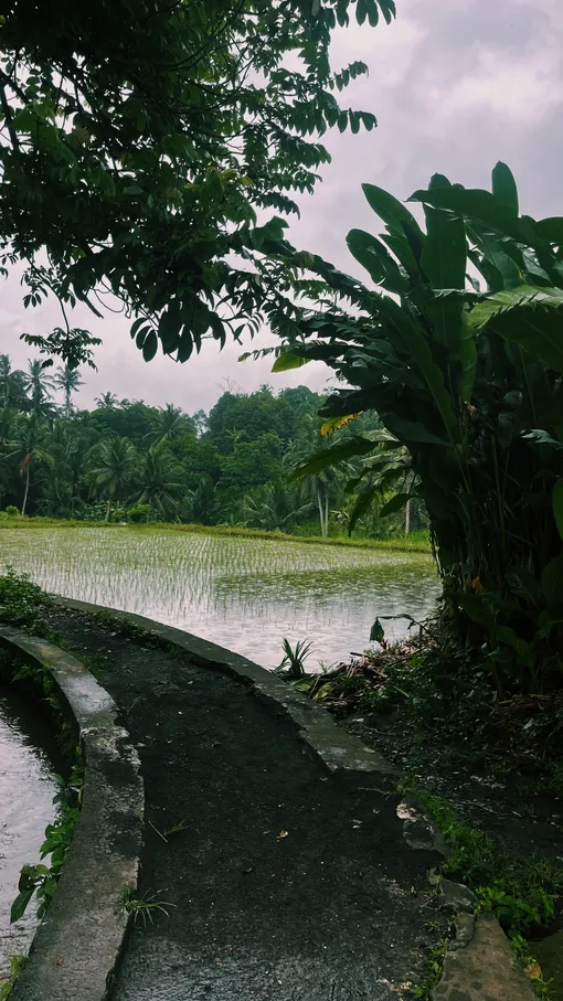 На здоровье! 5 мест на Бали, которые стоит посетить