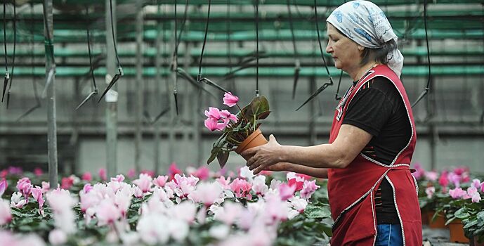 Пять манипуляций, которые помогут домашним растениям пережить зиму