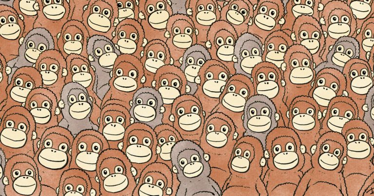 Тест: найди плюшевую обезьянку среди живых орангутангов — это удается только 7% людей!