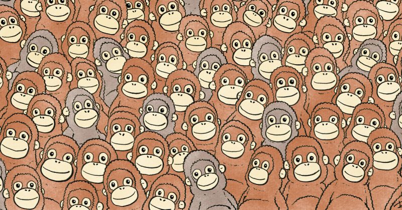 Тест: найди плюшевую обезьянку среди живых орангутангов — это удается только 7% людей!