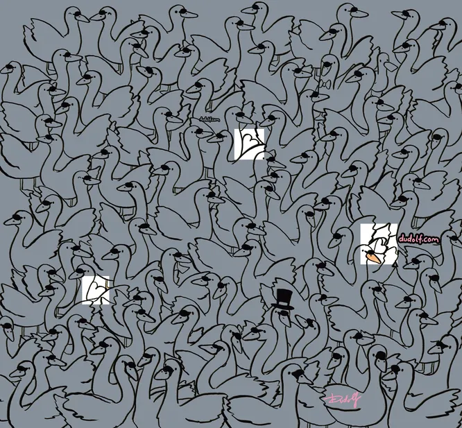 Тест: проверь свою наблюдательность — найди три сердечка среди лебедей! Тест: проверь свою наблюдательность — найди три сердечка среди лебедей!