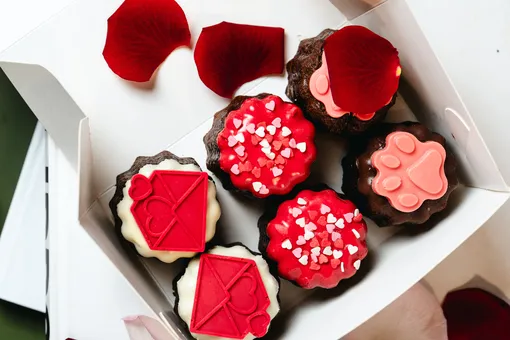 Где отметить День всех влюбленных: рестораны Москвы, Санкт-Петербурга и Дубая