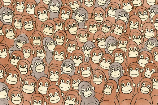 Тест: найди плюшевую обезьянку среди живых орангутангов — это удается только 7% людей!