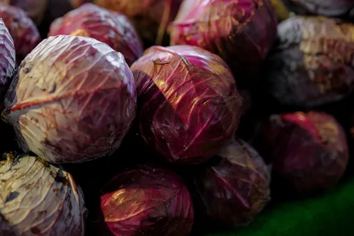 устаревшие советы по правильному питанию