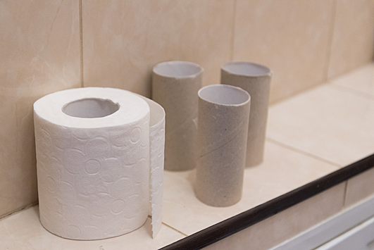 Один из наиболее расходуемых предметов в доме — туалетная бумага, от которой чаще остаются втулки.